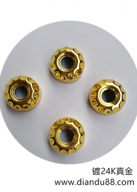 美容儀配件電鍍真金